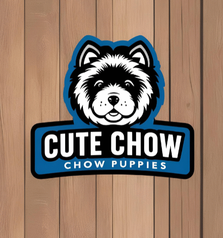 petlover480@gmail.com logo